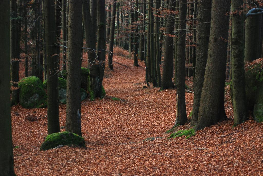 Gasthof Und Pension Haunschmid Rechberg エクステリア 写真