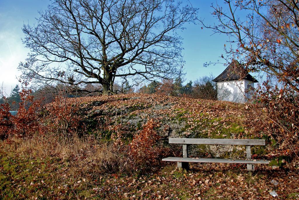 Gasthof Und Pension Haunschmid Rechberg エクステリア 写真